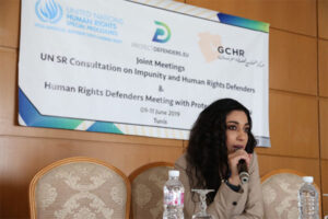 Speaker in MENA consultation meeting, on impunity and human rights defenders